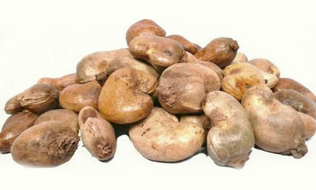 Tanzania raw cashew — OTR 46–52 LBS, 160–200 pcs/kg, East Africa