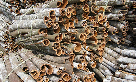 Whole cassia with skin — 2.2mm minimum thickness, 30–45cm length