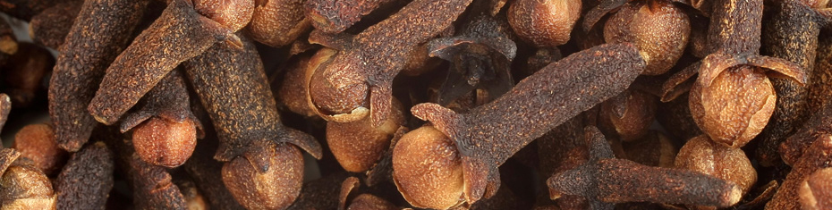 Premium Madagascar cloves — fresh crop, 500–1000 MT ready stock
