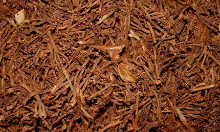 Clove stems with oil — well dried, standard quality