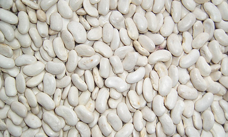 White kidney beans from Madagascar — 180–200 count grade