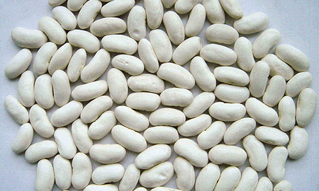 White kidney beans size 200–220 — 200 to 220 pieces per 100 grams