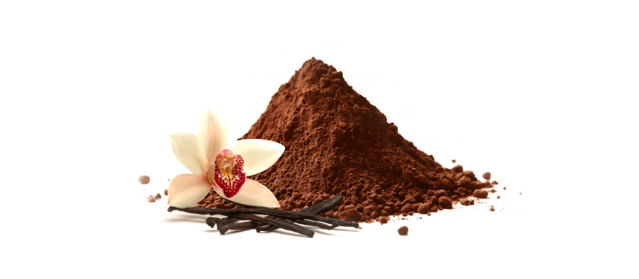Bourbon vanilla powder — ground from whole Madagascar beans, 0.3–0.4mm particle size